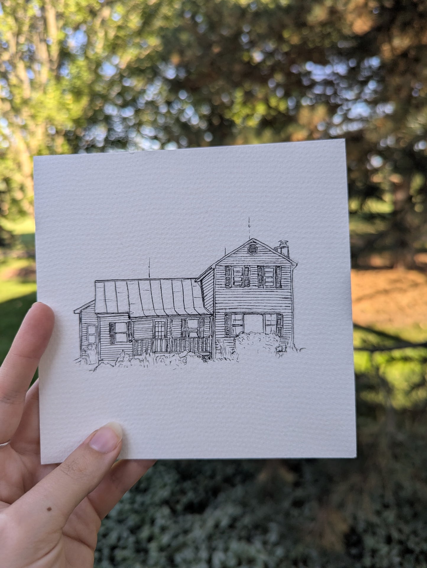 2 Part Sketch and Watercolor Series