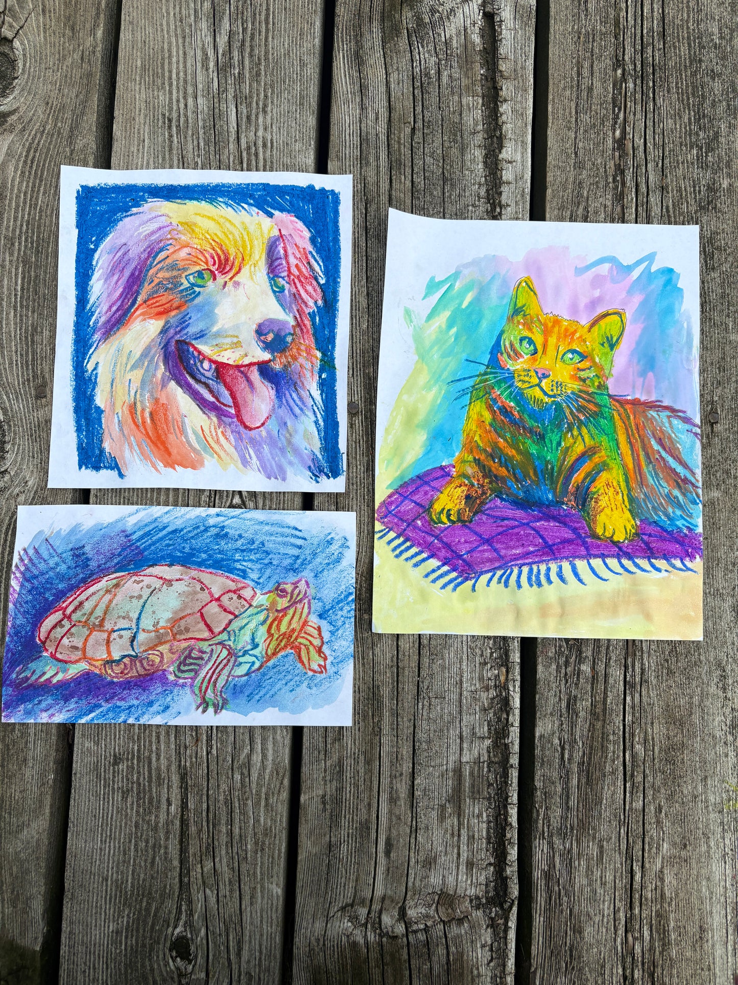 Mixed Media Pet Portraits